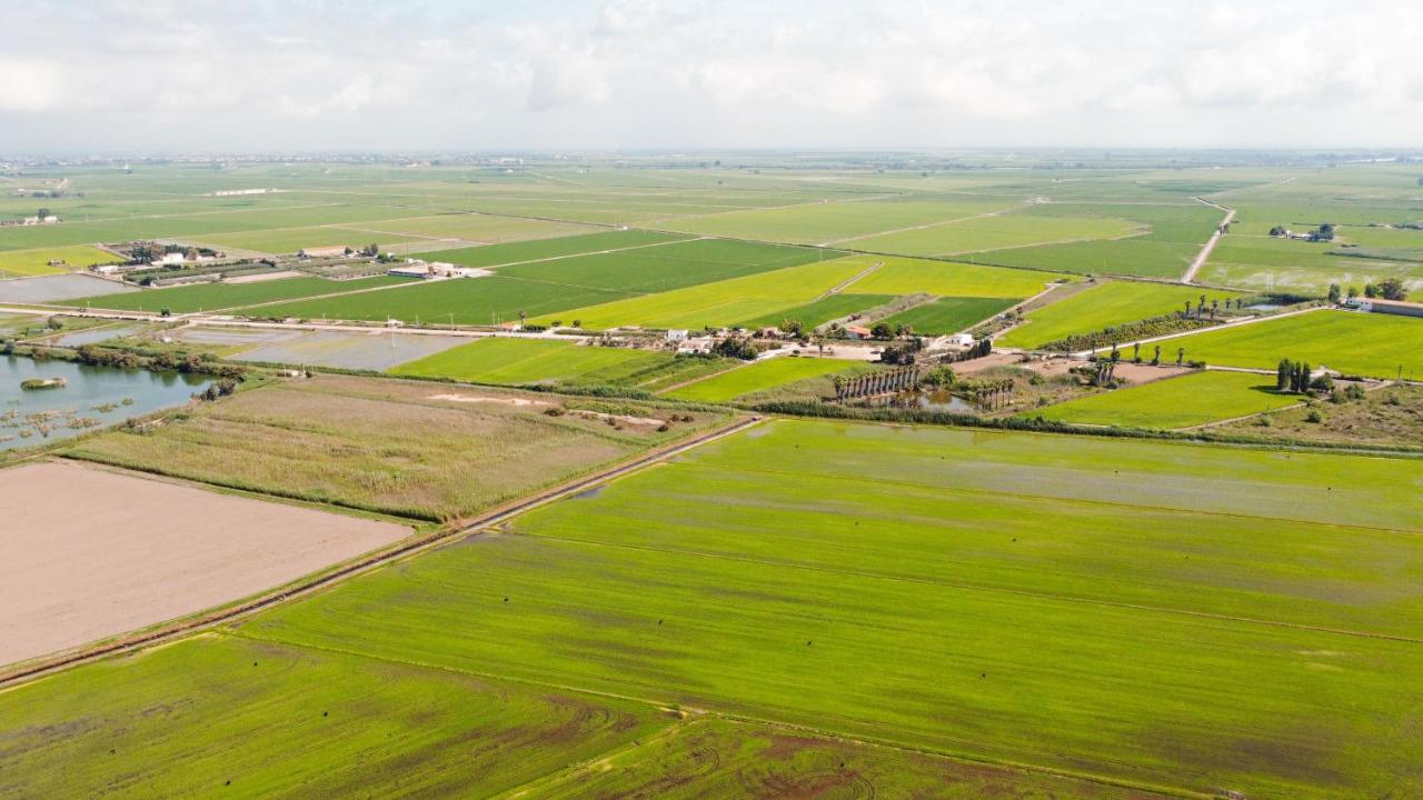 Calito Del Delta Leilighet L'Eucaliptus Eksteriør bilde